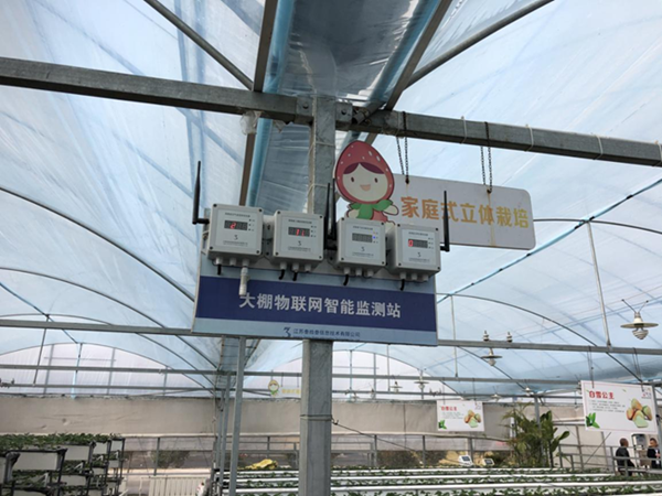 都市四季果園內(nèi)的物聯(lián)網(wǎng)智能監(jiān)測站系統(tǒng)。東?？h委宣傳部供圖