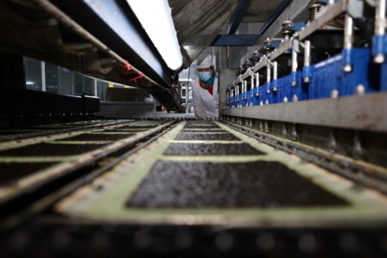 柘汪紫菜產(chǎn)業(yè)園內入駐企業(yè)的紫菜生產(chǎn)線。贛榆區(qū)委宣傳部供圖