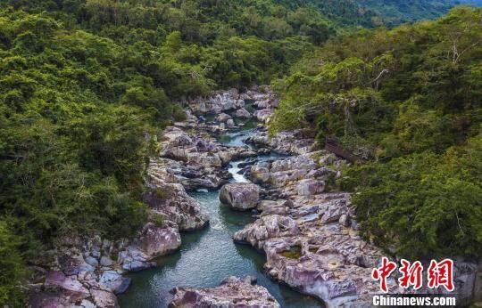 2018年海南生態(tài)環(huán)境狀況等級為“優(yōu)”，植被覆蓋率高，生物多樣性豐富，生態(tài)系統(tǒng)穩(wěn)定，圖為海南中部熱帶雨林?！●樤骑w　攝