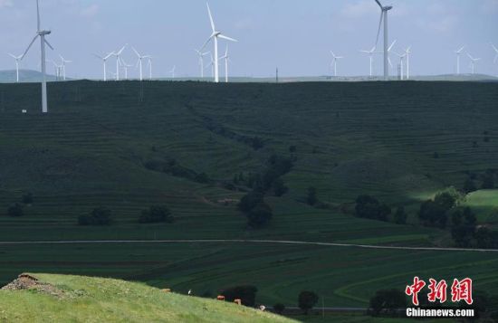 6月28日，河北張家口張北草原上大片風力發(fā)電的“風車”規(guī)模宏大。 中新社記者 楊艷敏 攝