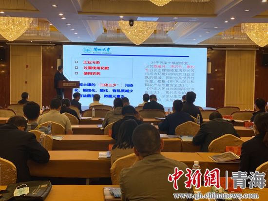 圖為論壇現(xiàn)場(chǎng)。李江寧攝