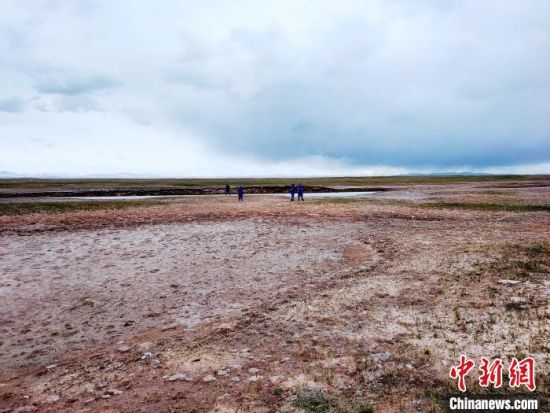 圖為救援力量在青海省西部搜救失聯(lián)的江蘇南京某大學(xué)女生黃某某。海西州藍(lán)天應(yīng)急救援中心 供圖