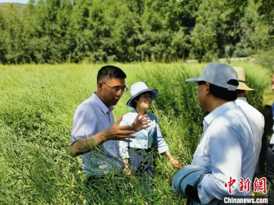 圖為九三學社青海省委主委杜德志(左一)在基層調(diào)研。受訪者供圖