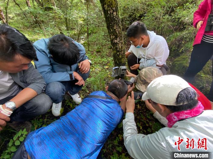 圖為訪客正在查看紅外相機(jī)中的拍攝畫面?!±罱瓕?攝