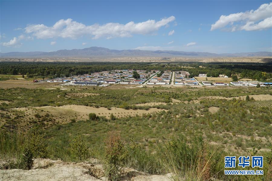 （決戰(zhàn)決勝脫貧攻堅·圖文互動）（2）高原鄉(xiāng)鎮(zhèn)沙珠玉 治沙斗貧成“綠?！薄嗪Ｊ」埠涂h沙珠玉鄉(xiāng)采訪見聞