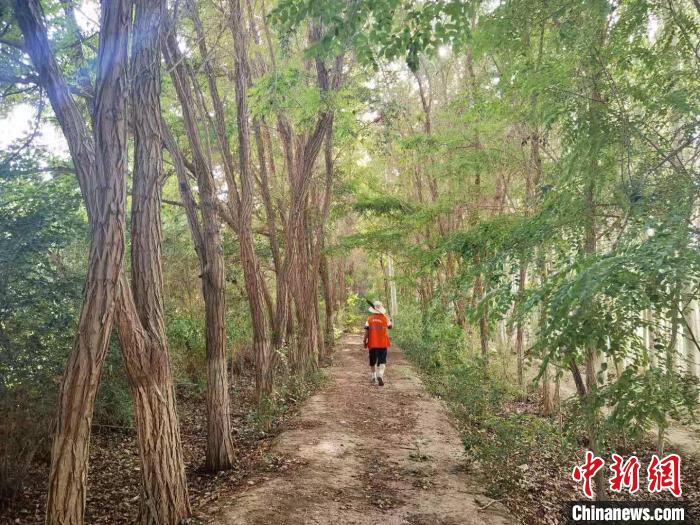 戈壁灘上的護林員：以前風吹睜不開眼，現(xiàn)在滿眼皆綠色
