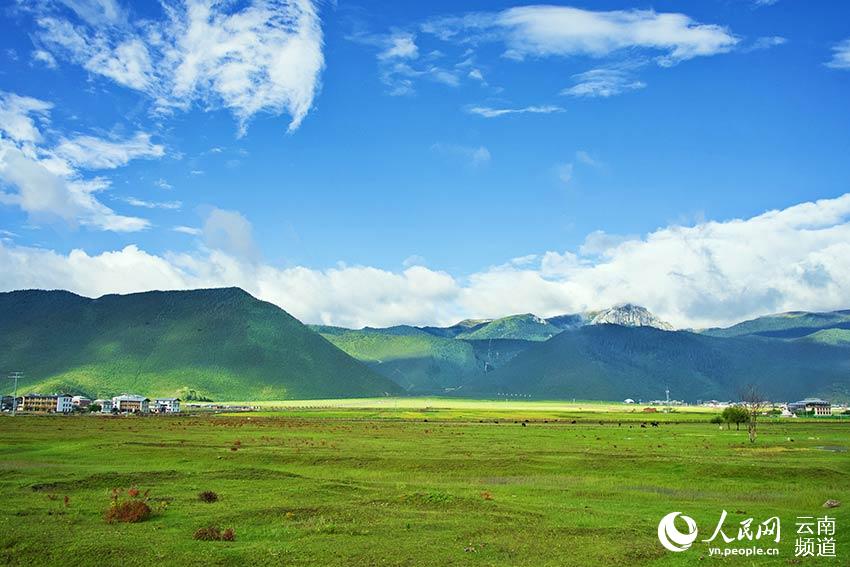 納帕海濕地風(fēng)景。呂昊辰攝