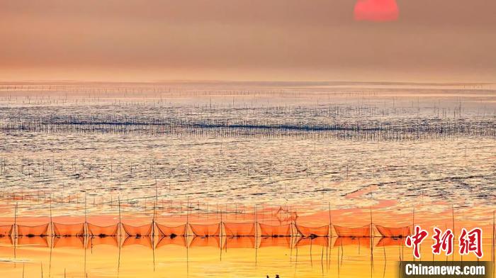 江蘇鹽城被譽(yù)為金灘銀蕩、魚米之鄉(xiāng)。　鹽城市委宣傳部供圖
