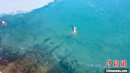 圖為冬日青海湖?！±罱瓕帯z