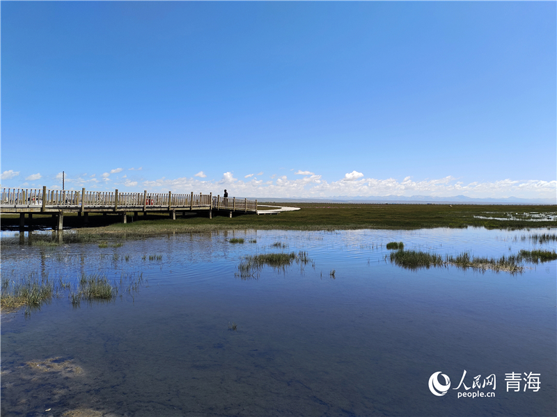   青海湖仙女灣。人民網(wǎng) 張莉萍攝