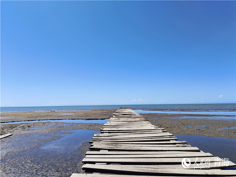   青海湖仙女灣。人民網(wǎng) 張莉萍攝