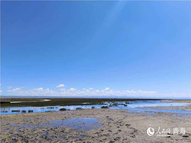   青海湖仙女灣。人民網(wǎng) 張莉萍攝