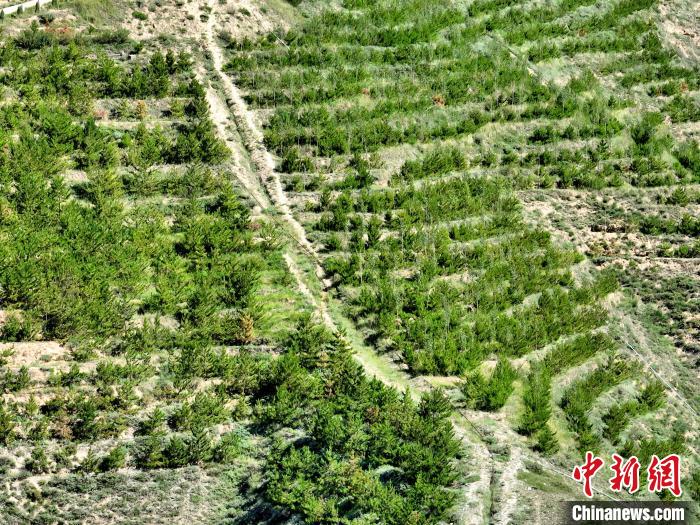 航拍建行青海省分行綠化區(qū)?！∑钤鲚?攝