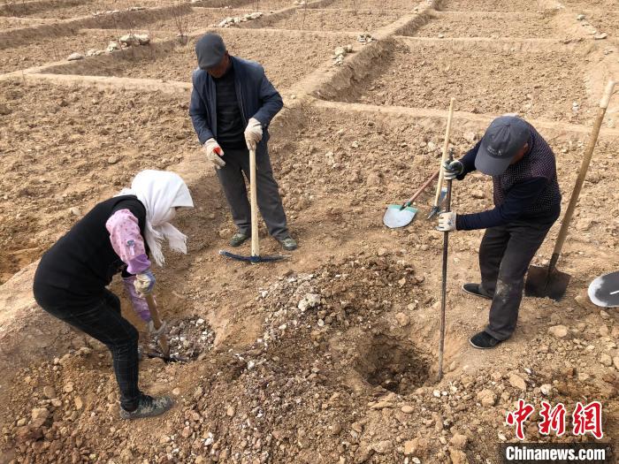 資料圖為建行青海省分行綠化區(qū)施工隊(duì)隊(duì)員處理亂石。　建行青海省分行供圖