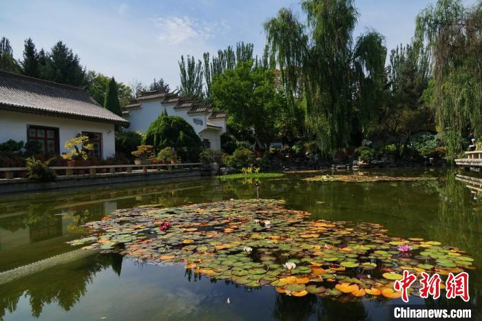 圖為西寧園林植物園秋日風景別有韻味。　馬銘言 攝