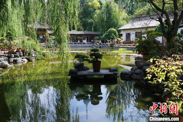 圖為西寧園林植物園秋日風景別有韻味?！●R銘言 攝