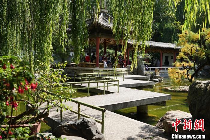 圖為西寧園林植物園秋日風景別有韻味?！●R銘言 攝
