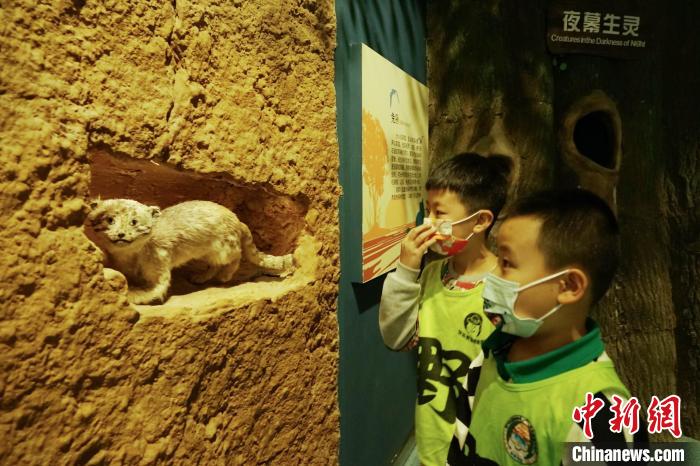 圖為小朋友在青海西寧湟水國(guó)家濕地公園科普館內(nèi)參觀學(xué)習(xí)?！●R銘言 攝