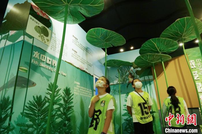 圖為小朋友在青海西寧湟水國(guó)家濕地公園科普館內(nèi)參觀學(xué)習(xí)。　馬銘言 攝