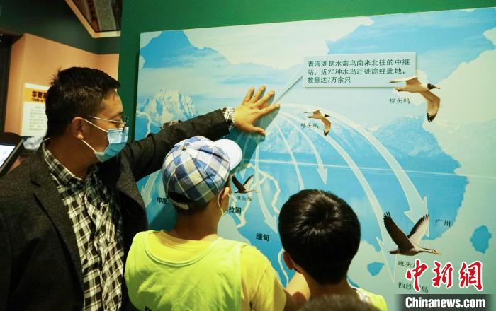 圖為小朋友在青海西寧湟水國(guó)家濕地公園科普館內(nèi)參觀學(xué)習(xí)。　馬銘言 攝