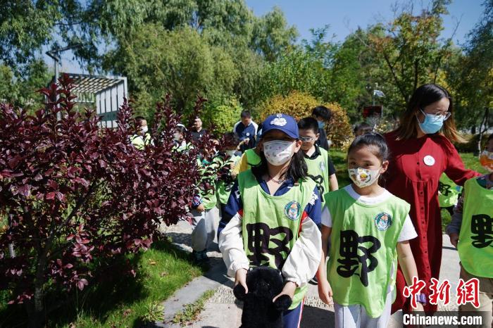 圖為小朋友在青海西寧湟水國(guó)家濕地公園內(nèi)認(rèn)識(shí)植物?！●R銘言 攝