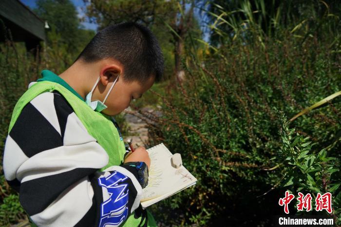 圖為小朋友在青海西寧湟水國(guó)家濕地公園內(nèi)認(rèn)識(shí)植物并進(jìn)行繪畫。　馬銘言 攝