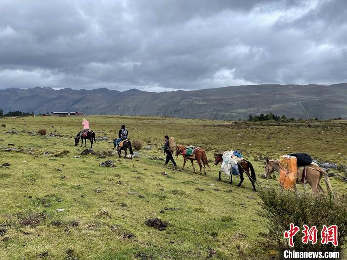 圖為9月26日游客騎馬領(lǐng)略尼汝村高原牧場風(fēng)光。 <a target='_blank' href='/'><p  align=