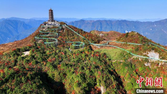 巴山大峽谷彩林迎來(lái)最佳觀賞期?！∫κ?攝