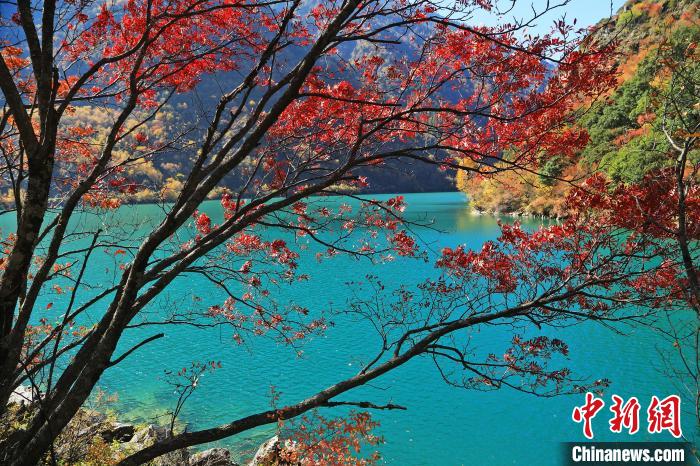 松坪溝風(fēng)光。　何清海 攝