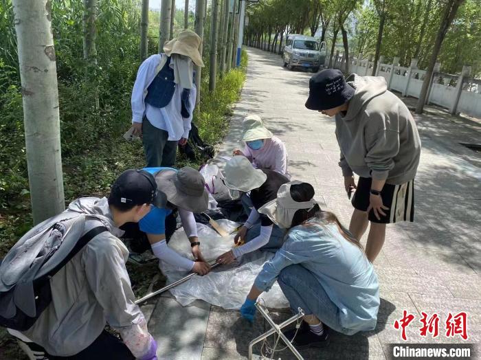 圖為科研人員正在進行監(jiān)測?！∥鲗庝宜畤覞竦毓珗@供圖