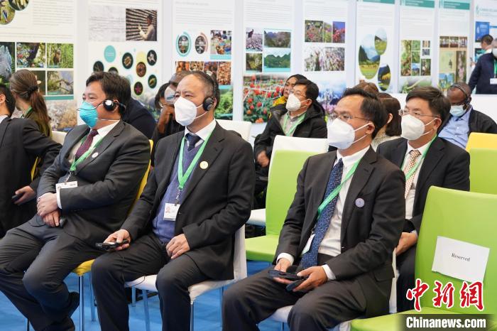 圖為極小種群物種和生物多樣性保護(hù)邊會(huì)現(xiàn)場?！≡颇鲜×謽I(yè)和草原局供圖