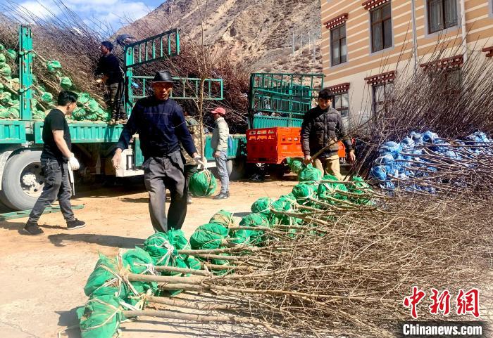 民眾搬運苗木?！〔际忻⒖悼h委宣傳部供圖