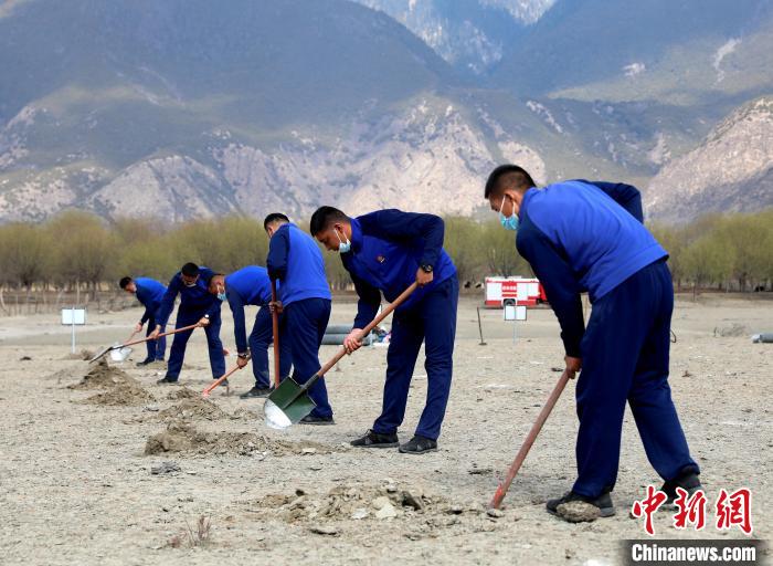 林芝市巴宜區(qū)森林消防中隊志愿服務隊正在揮鍬鏟土。　西繞拉翁 攝