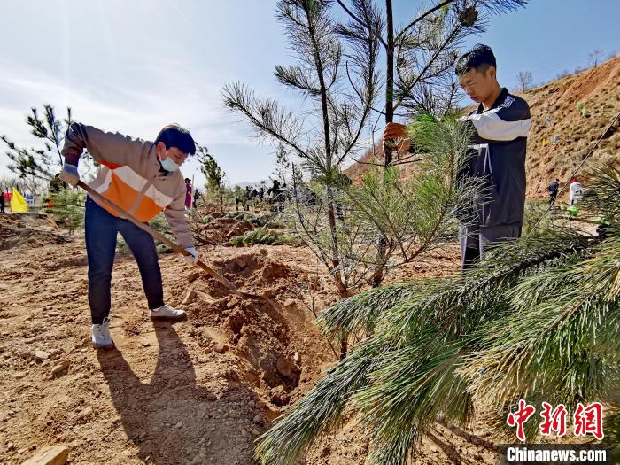 圖為西寧市城東區(qū)義務植樹活動現場?！?zhí)砀?攝