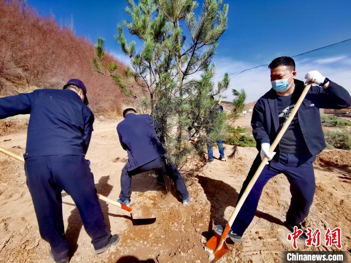 圖為西寧市城東區(qū)義務植樹活動現場?！?zhí)砀?攝