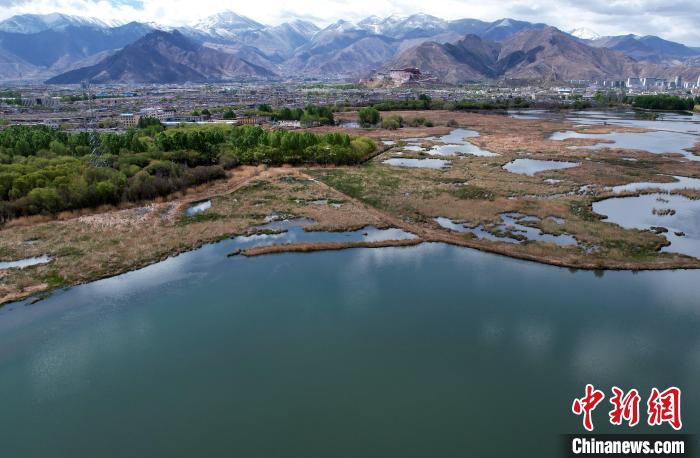 圖為拉薩拉魯濕地。(無(wú)人機(jī)照片) 李林 攝