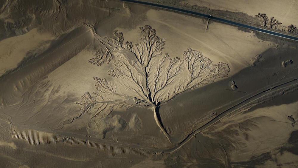 無人機視角下的西藏阿里地區(qū)改則縣“大地之樹”景觀。尼瑪多吉攝