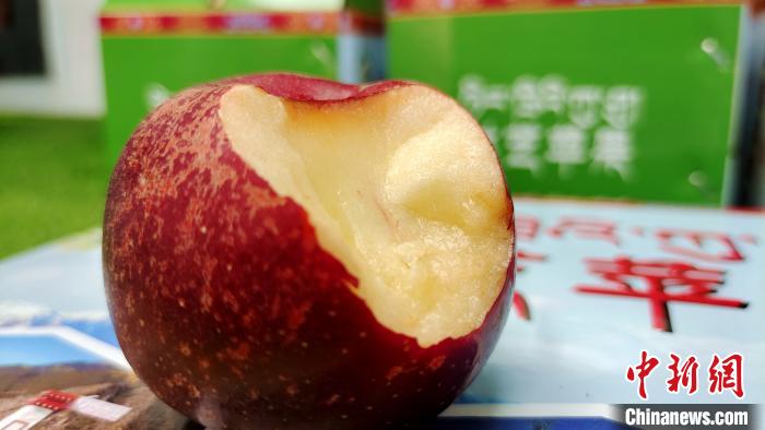 圖為通麥村特色甜心蘋(píng)果?！∝暽＠?攝