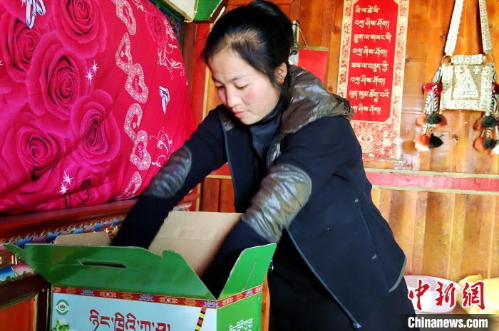 圖為通麥村村民巴桑拉姆把精心挑選的蘋(píng)果裝箱?！∝暽＠?攝