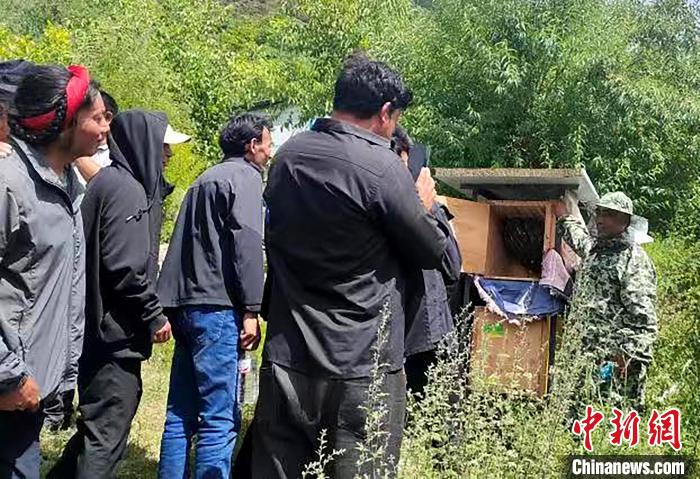 拉久西村村民學(xué)習(xí)養(yǎng)蜂工作流程和防范事項?！〔际忻⒖悼h委宣傳部供圖