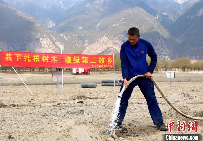 林芝市巴宜區(qū)森林消防中隊(duì)志愿服務(wù)隊(duì)澆水灌溉。　西繞拉翁 攝
