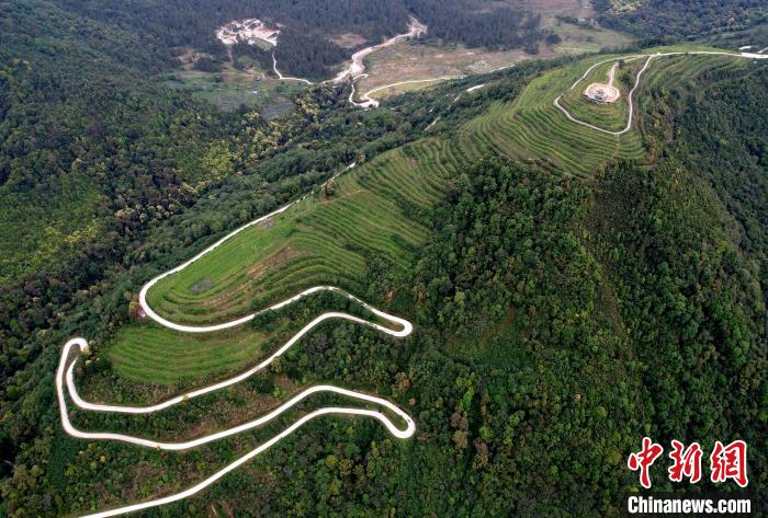 圖為西藏林芝市墨脫縣背崩鄉(xiāng)格林村山頂?shù)木坝^茶園。(無人機照片) 李林 攝