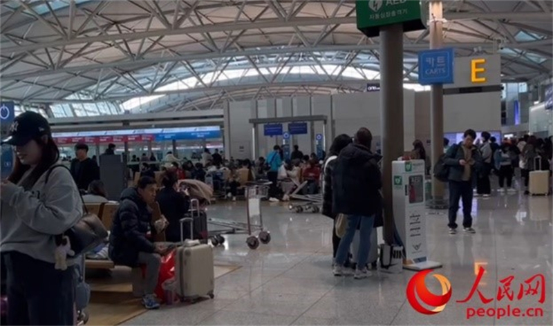11月29日，繁忙的仁川機(jī)場(chǎng)。人民網(wǎng) 李帆攝