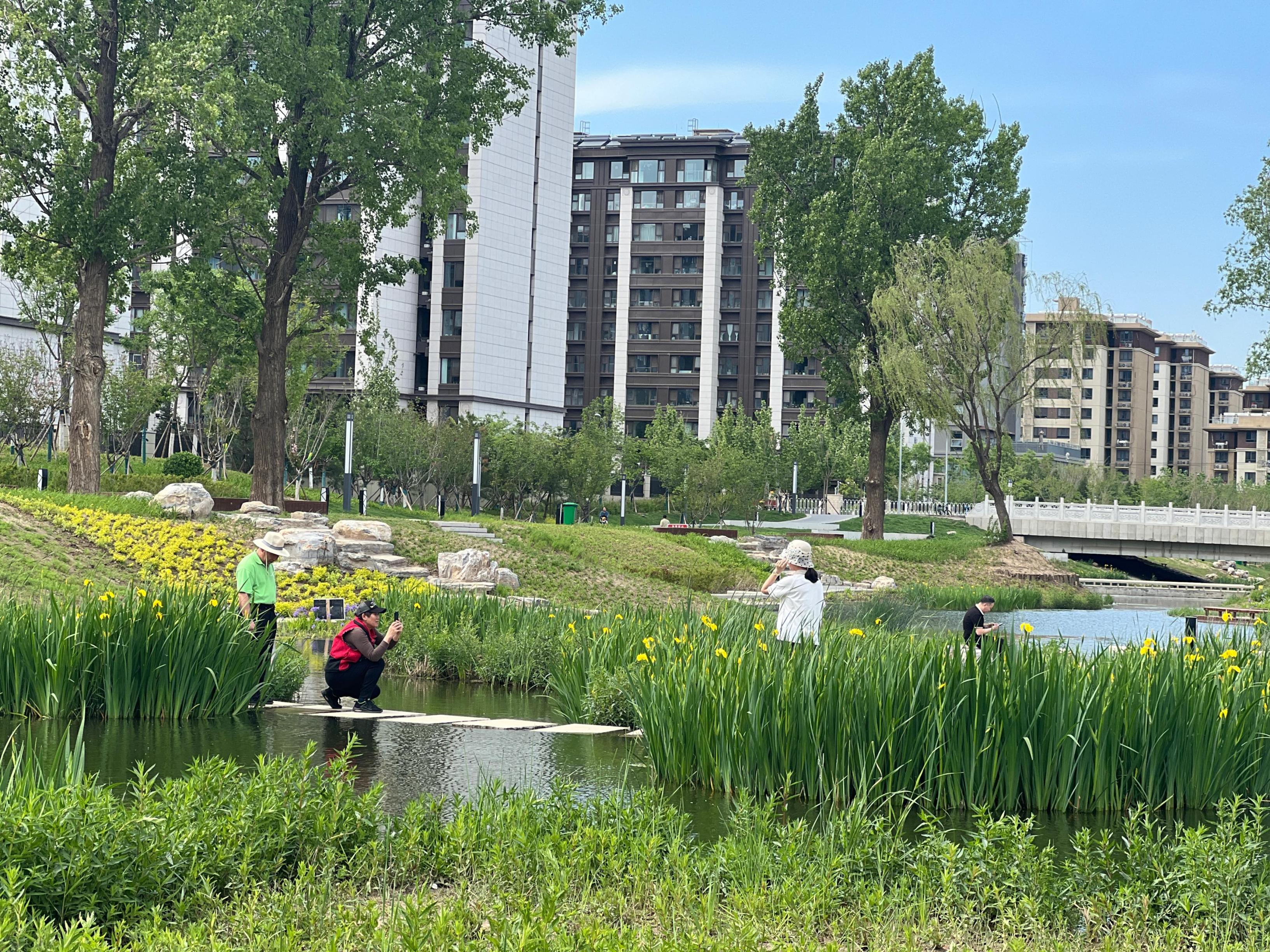 五一渠生態(tài)濱河公園內(nèi)，市民正在拍照留念。人民網(wǎng) 歐陽易佳攝