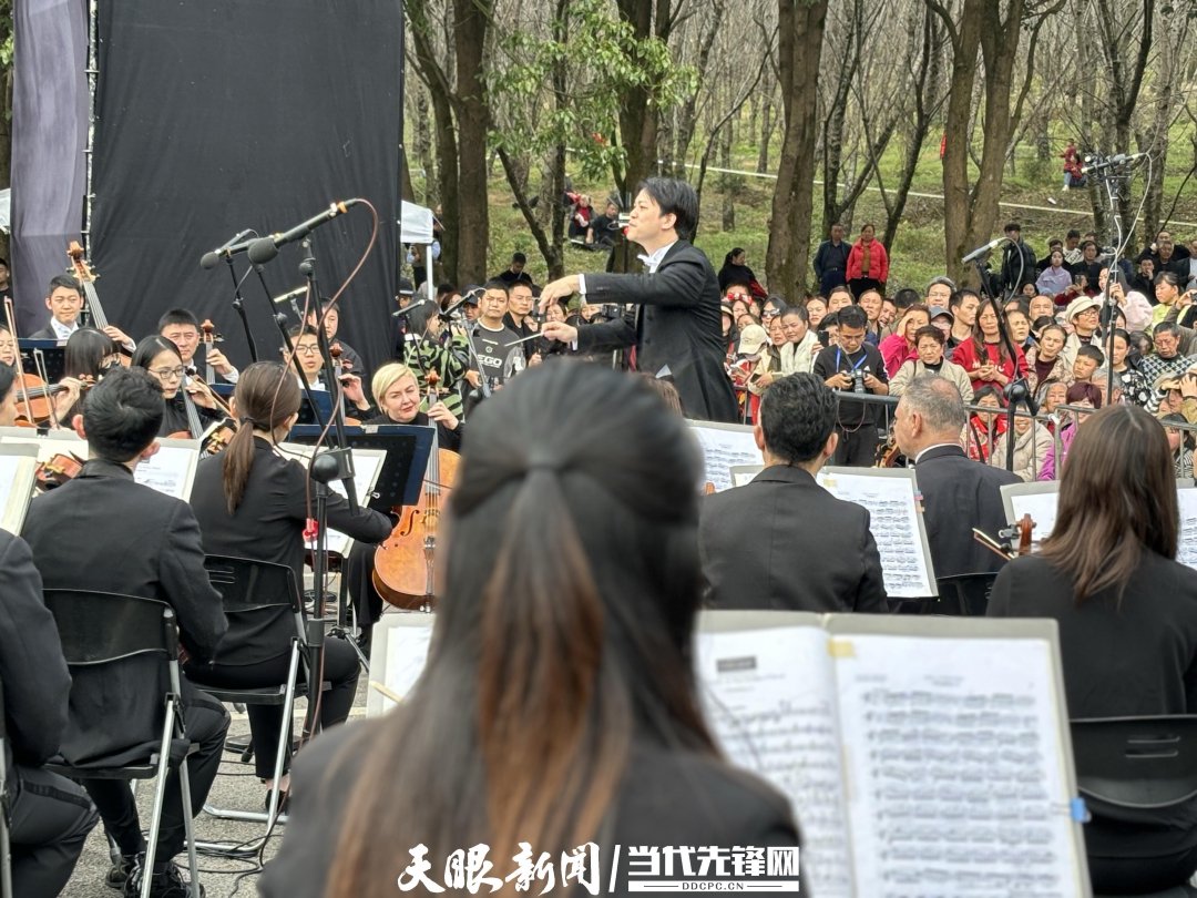 貴陽路邊音樂會·貴安櫻花園專場交響樂現(xiàn)場。丁亞 文丹 攝