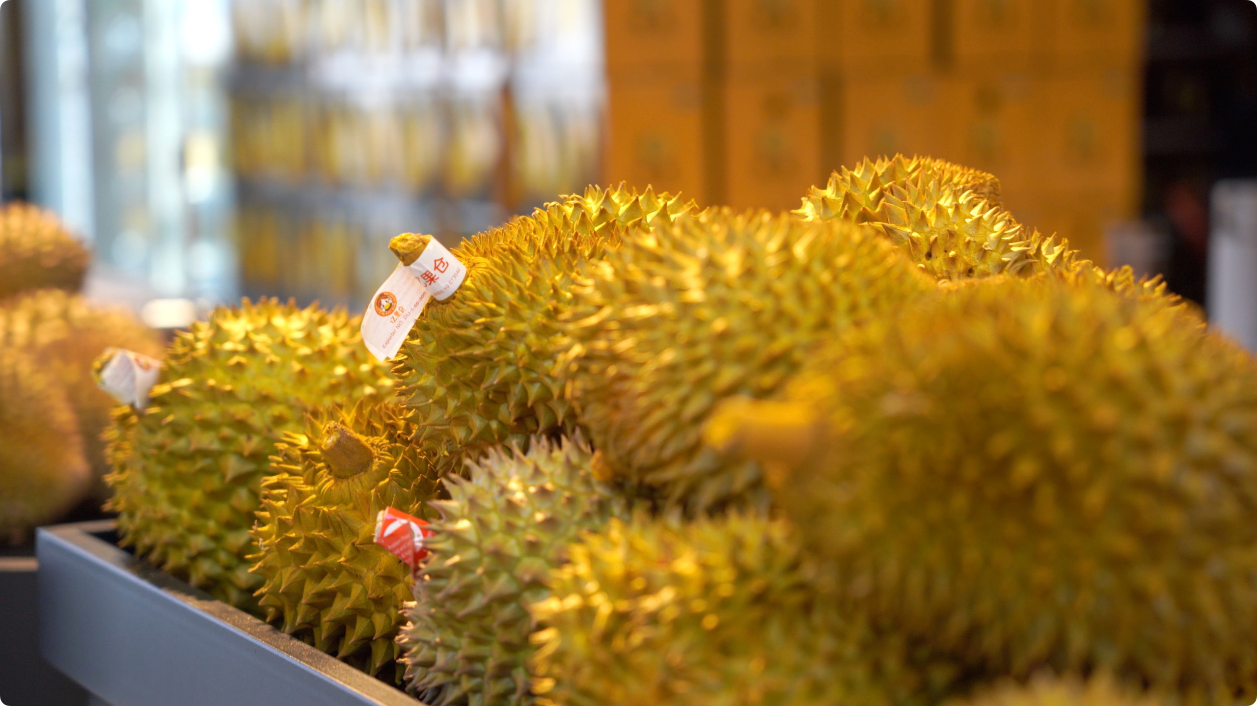 5月初，人民網(wǎng)記者申佳平攝