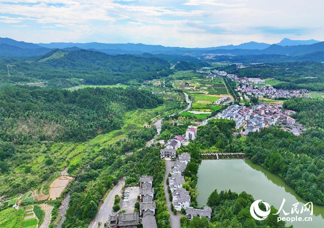 資溪縣森林資源豐富，森林覆蓋率達(dá)87.7%，有林地資源168萬(wàn)畝。人民網(wǎng) 朱海鵬攝