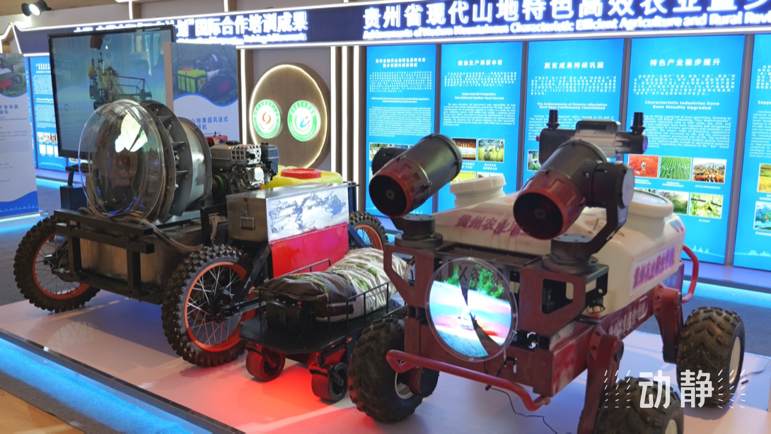 展示成果分享經(jīng)驗(yàn)，中國—東盟教育交流周深化合作共創(chuàng)未來！