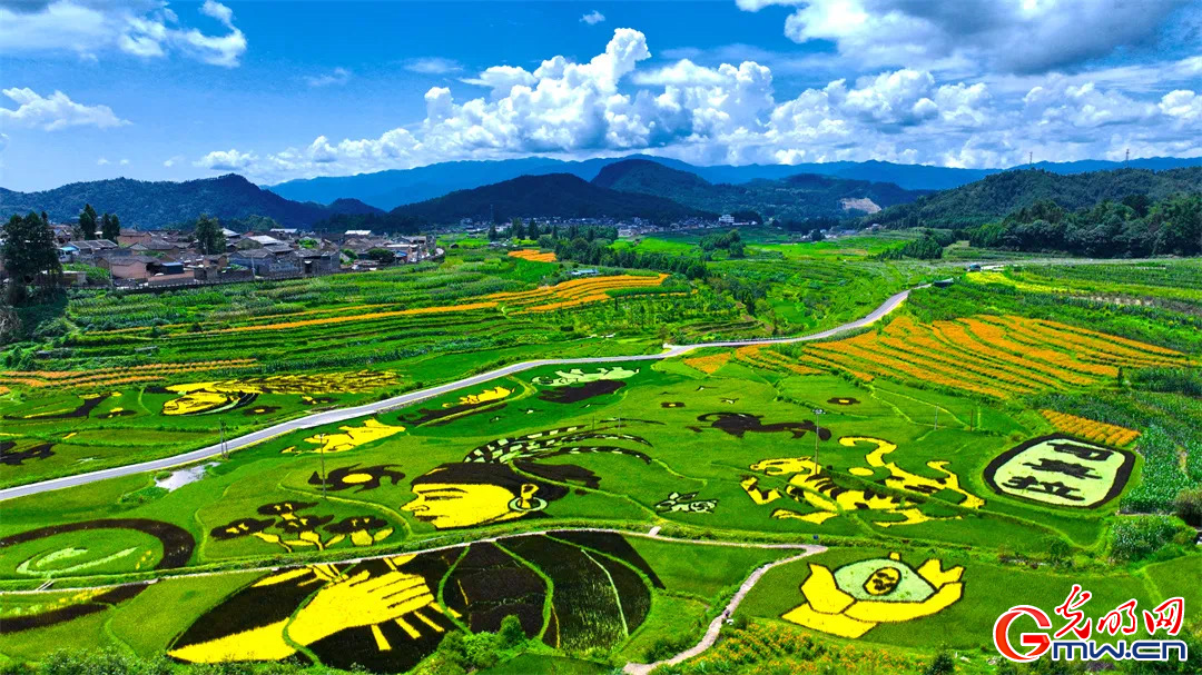 云南清水：延伸公共法律服務(wù)觸角，讓普法與民族團(tuán)結(jié)進(jìn)步互促共融