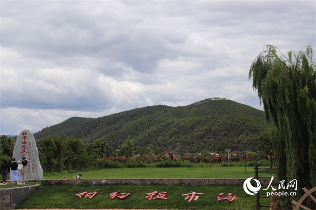 麗江市拉市海景區(qū)。 人民網(wǎng)記者 程浩攝